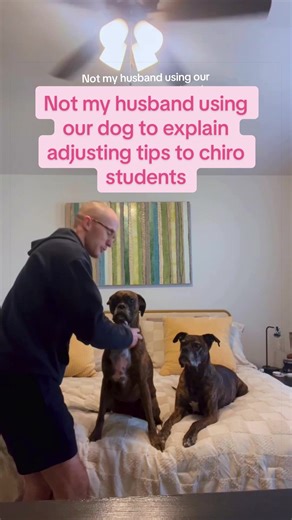 Dog Explains Chiropractic Adjusting Tips