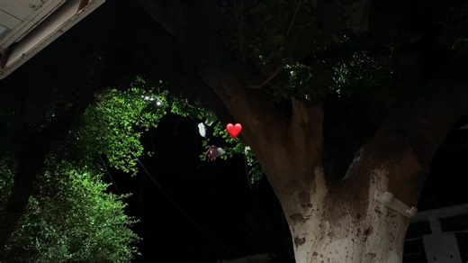 Spidey…!!! ❤️✨