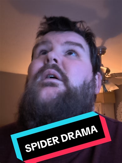 Spider Drama: A Scary and Hilarious Encounter