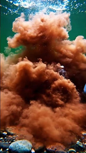 🐠 OMG! Giant Mystery Fish Caught on Camera! 🤯 You Won't Believe What Happened! 🎣