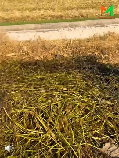 3.3K views · 20 reactions | Mini boat, maxi fishing vibes | Queen Hazarika | Facebook