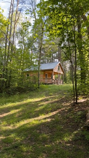 432K views · 3.7K reactions | 12 Acres of Hunting Land with Secluded Cabin for $83,900! | Forest Cabins | Facebook
