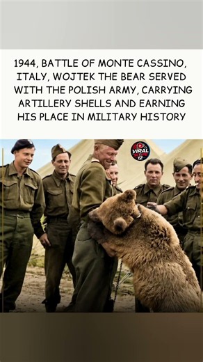 The Bear Who Went to War: The Story of Wojtek#PolishArmy #HeroAnimals #HistoryFacts #SoldierBear