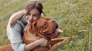 Die besten Hunde-Apps: 5 Anwendungen für Hundehalter:innen