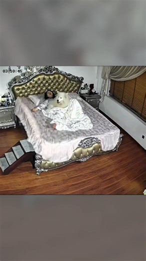 Her Bed Started Shaking at Night… The Reason Was Completely Unexpected 🐶🐾 #shorts