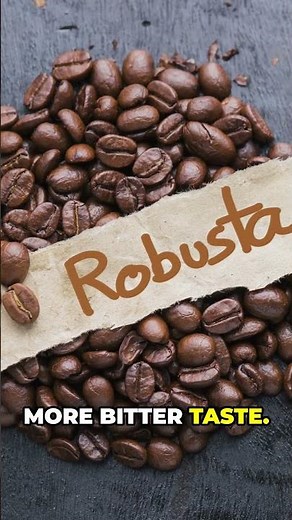 What Makes Brazilian Coffee Unique?