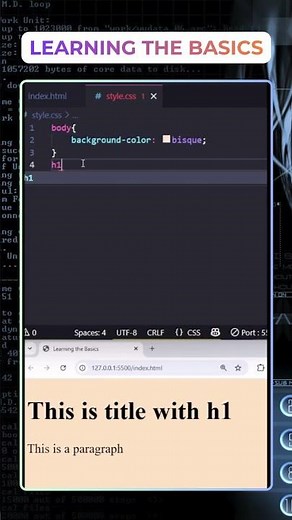 Aprenda o básico de HTML e CSS!
