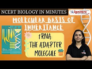 tRNA: The Adapter Molecule | Molecular Basis of Inheritance | NCERT Biology in Minutes |Class12&NEET