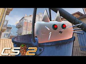 How This Cat Got A CS2 Map REDACTED