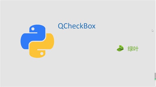 课时22 PYQT5 QCheckButton