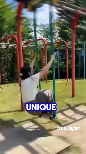 The swing that broke my arms (literally) 😅 #Japan #OnlyInJapan
