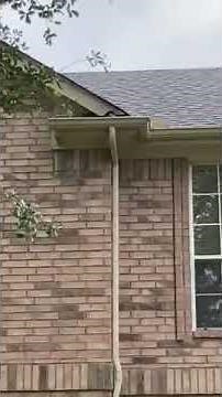 How can squirrels get into your attic?