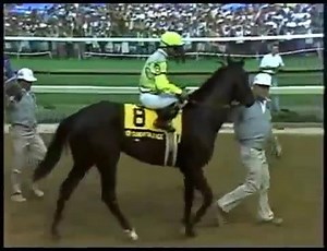 SUNDAY SILENCE’ WINS PREAKNESS STAKES IN 1989! LEGENDARY AMERICAN CLASSICS: 1989 PREAKNESS STAKES FEATURING THE EPIC STRETCH DUEL BETWEN KENTUCKY DERBY WINNER SUNDAT SILENCE & REIGNING TWO YEAR OLD CHAMPION EASY GOER! And here’s the race we’ve been waiting for!” Race caller Trevor Denman expressed the thoughts of racing fans as Sunday Silence and Easy Goer, two future Hall of Famers each on a mission in the 1989 Preakness (G1), came to grips turning for home at Pimlico. Each had unfinished busin