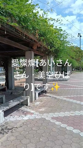 愛燦燦[あいさんさん・美空ひばり]です✨瀬野川河川敷宮原公園🏞️・ニトリ・広島国際学院高等学校・ワイテック広島本社海田工場です✨