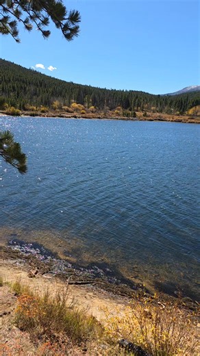 Lily Lake in Rocky Mountain National Park #capturingauthenticmoments | Nature Heals the Soul