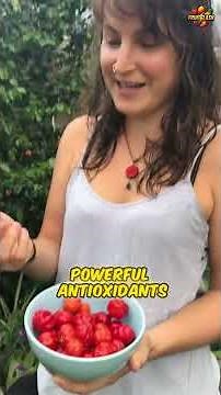 5 Rarest Fruits on Earth That Don’t Look Real (Number 1 Is Shocking!)” ✅🔥 #weirdfruits #foodtok