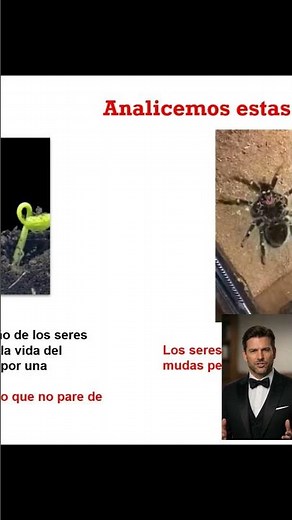 Sesiones de Ciencias