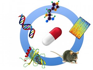 Methods Used in Drug Discovery and Development | Drug Discovery And Development