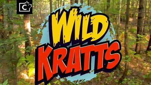 Wild Kratts - Quillers Birthday Present