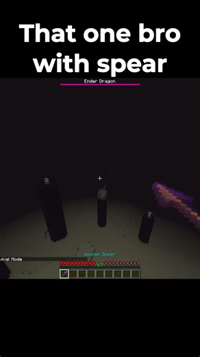 That one BRO with his Spear #meme #minecraft #minecraftanimation #memes #homless #funny