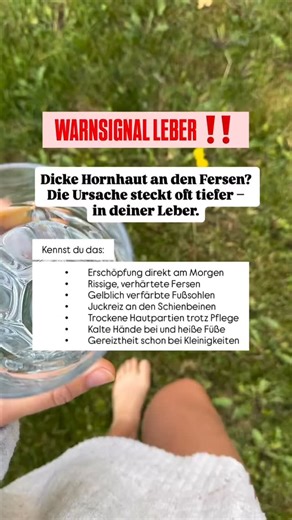 ✨ Harte, dicke Hornhaut an den Fersen? Das ist nicht einfach nur ein Hautproblem – oft steckt deine Leber dahinter. Viele Frauen halten trockene, rissige Fersen, bleierne Müdigkeit am Morgen oder kalte Hände für „Alterserscheinungen“ oder Zufall. 👉 In Wahrheit sind das häufig stille Warnsignale: Deine Leber ist überlastet und braucht dringend Unterstützung. Ich habe in den letzten Jahren mit unzähligen Frauen gearbeitet – und immer wieder erlebt, wie wenig bekannt ist, welche zentrale Rolle die