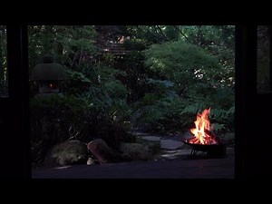 Peaceful View of Japanese Garden with Relaxing Fire Bowl and Bird Sounds (Quarantine TV)