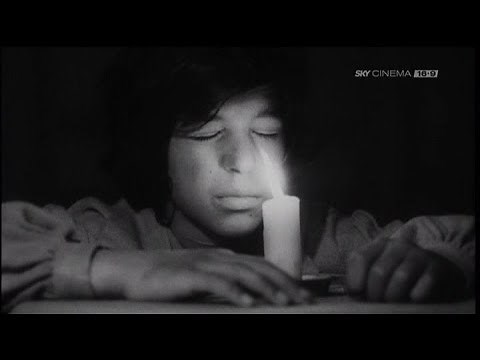 Il ragazzo selvaggio (1970)