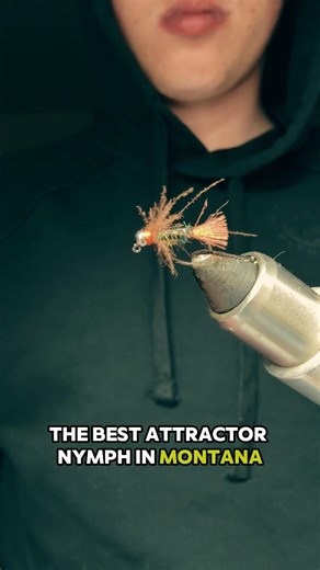 How to tie the best attractor nymph in Montana #fishing #flyfish #flytying #montana
