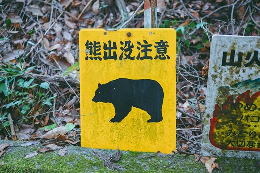 對抗熊害 日本出動「狗吠無人機」高空播放叫聲、煙火聲 還會發射鞭炮