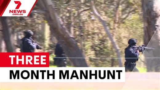Expert predicts three-month manhunt for Desi Freeman