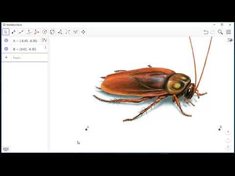 Moving object in GeoGebra: How to create animated object in GeoGebra?