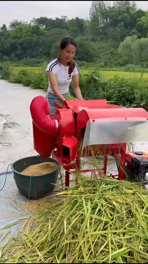 8.4K views · 52 reactions | Rice  threshing machine | Denraks Machinery | Facebook