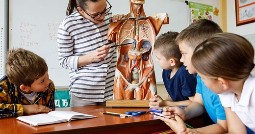 Los músculos del cuerpo humano explicados para niños según una profesora