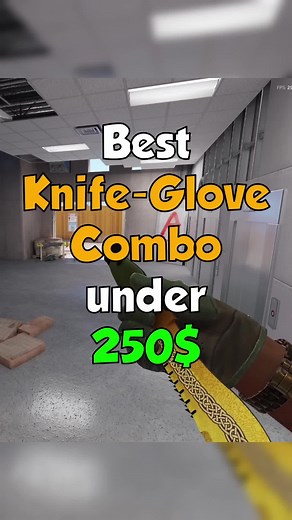 Top Knife-Glove Combos for Counter-Strike 2 Under $250