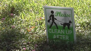 Are you violating Tyler city codes by not picking up your dog's poop?