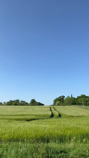 Stunning Outdoor Scenes of Lush Green Rural Landscapes