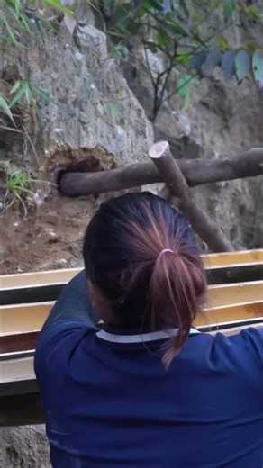 Building a Deadly Deadfall Trap & Bamboo Shelter! Wild Boar Encounter 🐗 #Shorts