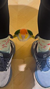 核心力量強大 來源：爱潜水的鸟人 | Elsa Huang