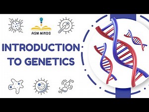 1 Introduction to Genetics by Dr Abdelrahman Nabil
