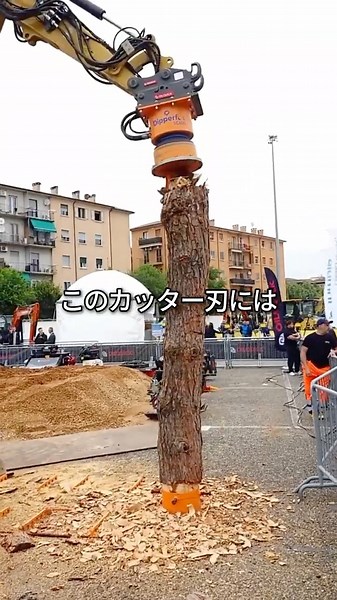 根っこ除去の達人