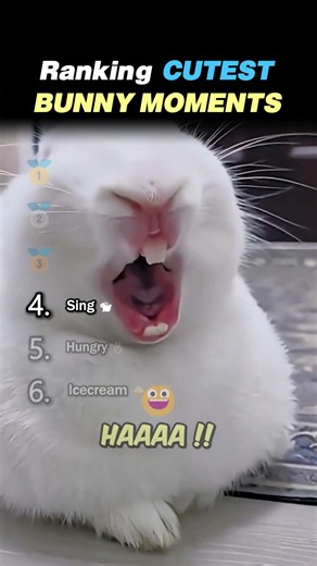 Ranking CUTEST BUNNY MOMENTS Core Moments!! 🥹🐰