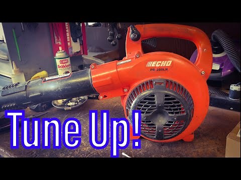 Echo PB250 Blower Full TuneUp