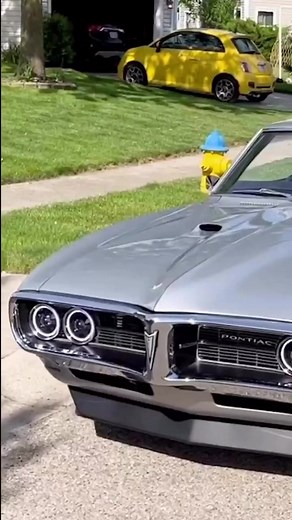 8.6K views · 297 reactions | A work of art! Pontiac Firebird with a...