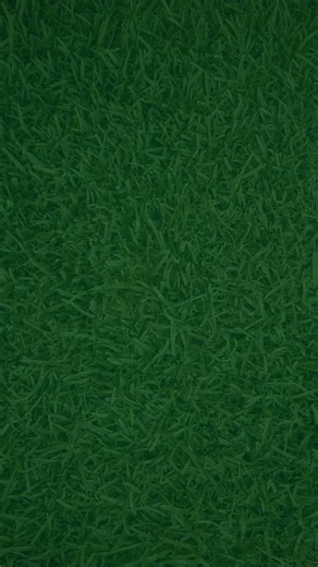 Get ready for fall lawn fun! Feed now to strengthen your lawn, kill weeds, and thicken your grass to crowd out future weeds. | Scotts Lawn Care | Facebook