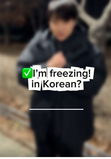 Essential Korean Phrase for Cold Weather: 얼어 죽겠다