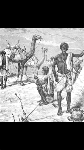 Oromo tribe was known for worriorism and braveness. many outside Authors described them as the mongols of Africa due to their fierce campaigns against their enemies and legacy. Oromo participated in many big moment histories in east Africa. they once were the damdams or jamjams who was electing their leaders and conquired almost every land in the horn of Africa. Prime Oromo was super class and something else that needs to be studied. #oromo #borana #bareento #macha #tulama