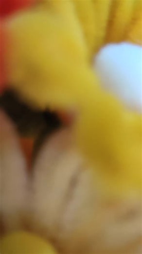 How to Create a Mini Bouquet with Fuzzy Wire