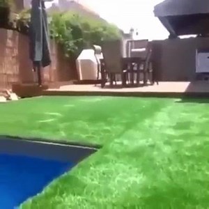 1.2M views · 10K shares | Super dope! Via Pretty Ricky | Sean Kingston | Facebook