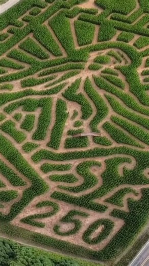 Sauvie Island corn maze opens with 'America 250' theme for fall season