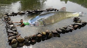 34K views · 642 reactions | Primitive Life- Build Swimming Pool By Stone For Bathing Meet Big Fish - Cooking Delicious Fish | Embrace your Heart | Facebook